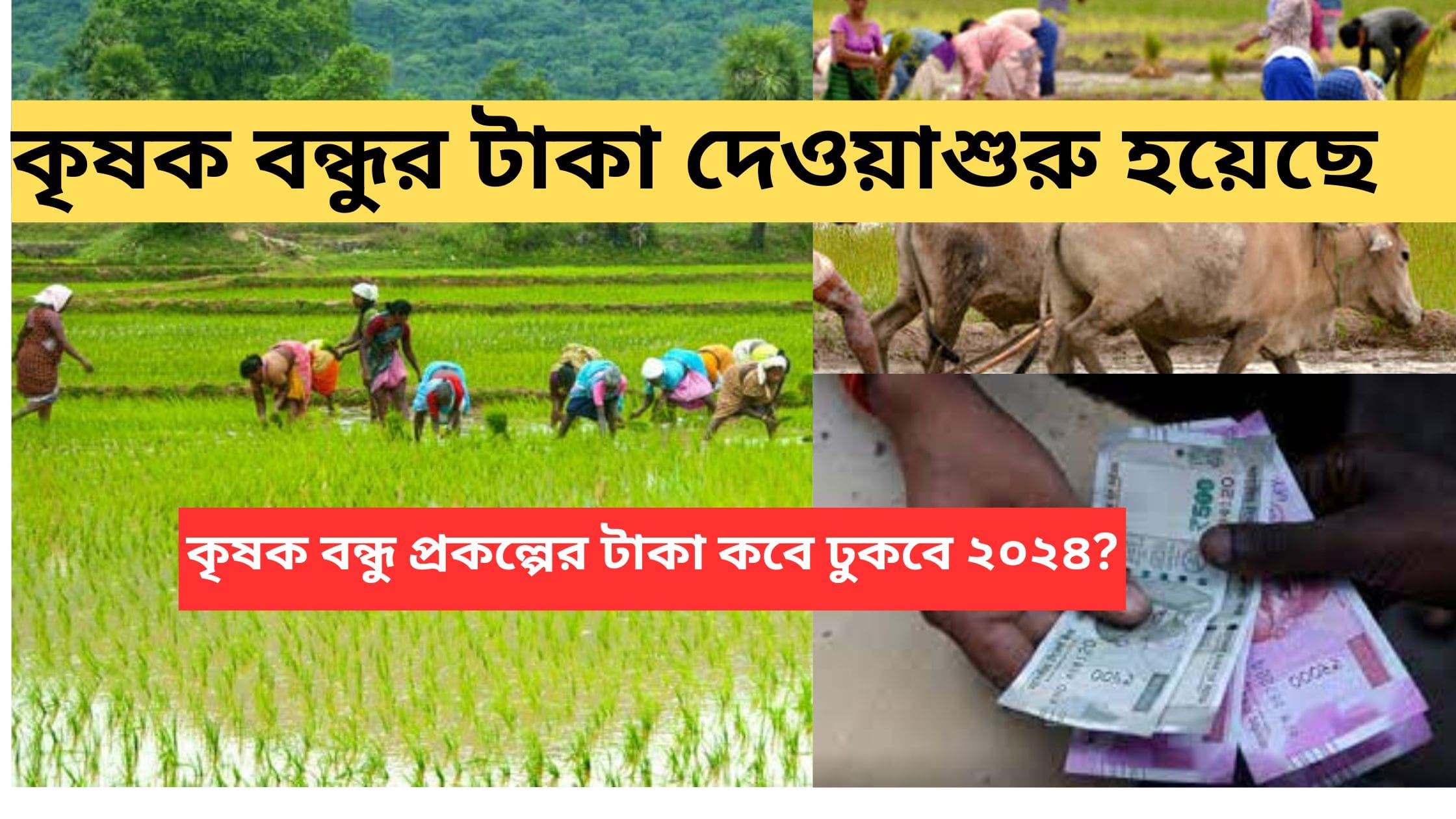 krishak-bandhu-payment-date-2024