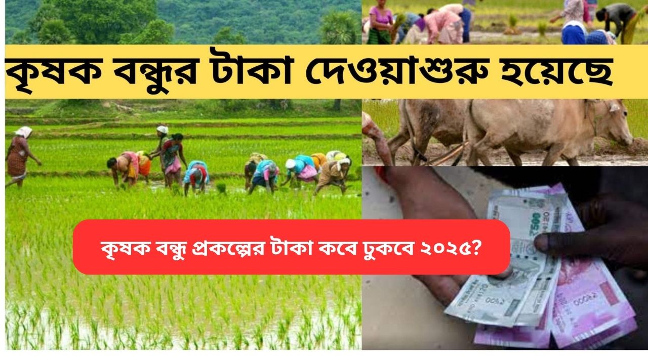 krishak bandhu payment date 2025